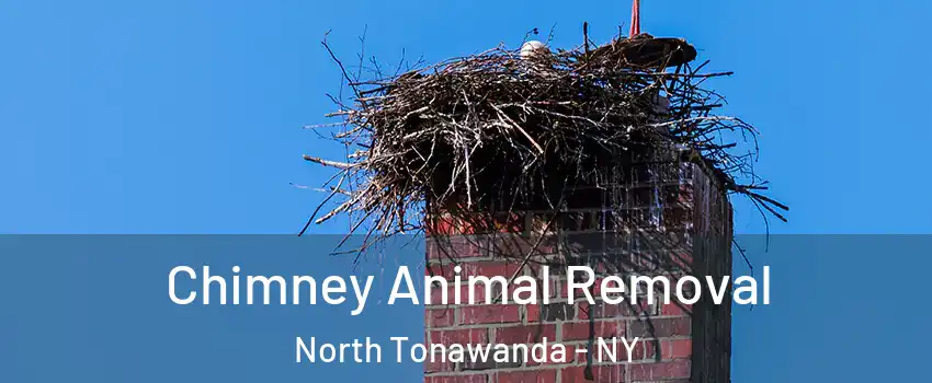 Chimney Animal Removal North Tonawanda - NY