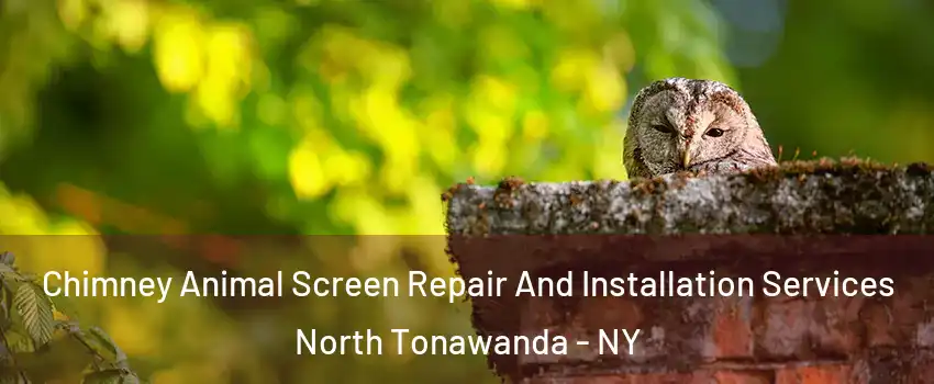  Chimney Animal Screen Repair And Installation Services North Tonawanda - NY