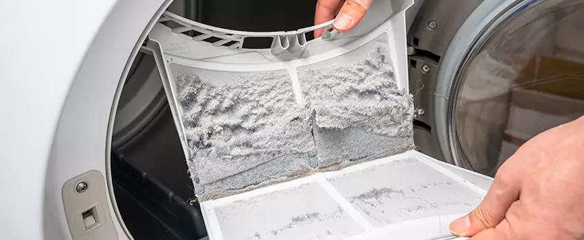 Best Dryer Lint Removal Company in North Tonawanda, New York