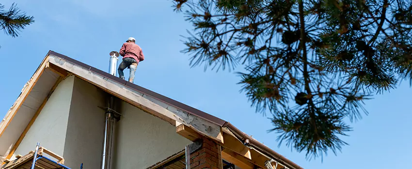 Birds Removal Contractors from Chimney in North Tonawanda, NY