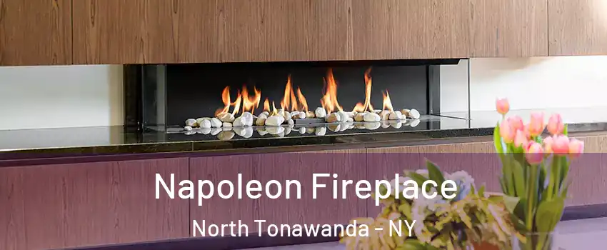  Napoleon Fireplace North Tonawanda - NY